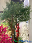 Lifesize Artificial Green Olive Tree 9 Feet Tall - ShopWildthings Lifesize Artificial Green Olive Tree 9 Feet Tall - ShopWildthings