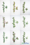 Purple and Blue Artificial Floral Garlands with Greenery Stems | ShopWildThings.com Purple and Blue Artificial Floral Garlands with Greenery Stems | ShopWildThings.com