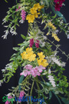Mixed White, Yellow, Pink and Fuchsia Flowers Flexible Garland Vine - ShopWildThings.com Mixed White, Yellow, Pink and Fuchsia Flowers Flexible Garland Vine - ShopWildThings.com