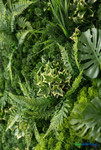 Abundant Flora and Mixed Green Plants UV Rated Greenery Wall 40"x40" ShopWildThings.com