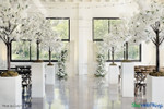 Design Flexibility at Your Fingertips! Switch up your event decor in seconds with Interchangeable Replacement Branches by ShopWildThings.com! Many of our Artificial Flowering Trees are compatible with this collection of branches, offering endless possibilities, without the hassle of having to buy a new tree for every client's design needs.
Large Artificial Flowering Trees for Parties, Weddings, and Events Design Flexibility at Your Fingertips! Switch up your event decor in seconds with Interchangeable Replacement Branches by ShopWildThings.com! Many of our Artificial Flowering Trees are compatible with this collection of branches, offering endless possibilities, without the hassle of having to buy a new tree for every client's design needs.
Large Artificial Flowering Trees for Parties, Weddings, and Events