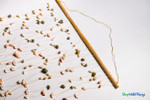 Real Sea Shell Curtains for Backdrops, Weddings, Events, Beach Themed Parties Seashells Beaded Curtains ShopWildThings.com Real Sea Shell Curtains for Backdrops, Weddings, Events, Beach Themed Parties Seashells Beaded Curtains ShopWildThings.com