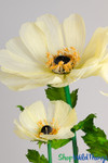 Large Light Yellow Colored Oversized Coreopsis Flowers Come in Several Sizes and Colors ShopWildThings Large Light Yellow Colored Oversized Coreopsis Flowers Come in Several Sizes and Colors ShopWildThings