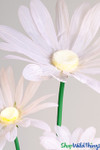 Light Pink Colored Oversized Large Daisy Flowers Come in Several Sizes and Colors ShopWildThings