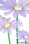 Extra Large Light Purple Colored Oversized Daisy Flowers Come in Several Sizes and Colors ShopWildThings