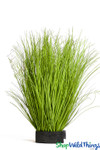 Faux Lifelike Tall Grass 2' Tall, Decorative Artificial Potted Greenery, Tall Wild Grass Foliage | ShopWildThings.com Faux Lifelike Tall Grass 2' Tall, Decorative Artificial Potted Greenery, Tall Wild Grass Foliage | ShopWildThings.com