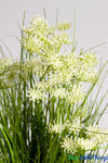 Fake Garlic Chive Grass with White Flower Blooms, 2' Tall, Decorative Artificial Potted Greenery, Tall Wild Grass Foliage | ShopWildThings.com Fake Garlic Chive Grass with White Flower Blooms, 2' Tall, Decorative Artificial Potted Greenery, Tall Wild Grass Foliage | ShopWildThings.com