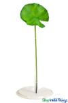 Artificial Oversized 9" Split Lily Pad on a Stem | ShopWildThings.com