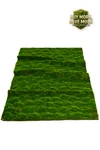 Faux Lush  Magic Moss Green Wall Pad 40" by 80" by ShopWildThings.com