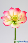 Artificial Oversized Fuchsia & White Magnolia Flower on Bendable Stem 33" Tall by 10" Wide | ShopWildThings.com