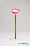 Artificial Oversized Fuchsia & White Magnolia Flower on Bendable Stem 36" Tall by 12" Wide | ShopWildThings.com Artificial Oversized Fuchsia & White Magnolia Flower on Bendable Stem 36" Tall by 12" Wide | ShopWildThings.com