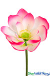 Artificial Magnolia Flower for Princess and the Frog Tiana's Bayou Decor Artificial Magnolia Flower for Princess and the Frog Tiana's Bayou Decor