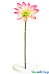 Artificial Oversized Fuchsia Pink & White Lotus Flower on Bendable Stem 36" Tall by 14" Wide | ShopWildThings.com