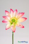 Artificial Oversized Purple & White Lotus Flower on Bendable Stem 32" Tall by 10" Wide | ShopWildThings.com