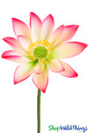 Artificial Lotus Flower for Props and Party Decor