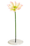 Artificial Oversized Pink & White Lotus Flower on Bendable Stem 32" Tall by 10" Wide | ShopWildThings.com Artificial Oversized Pink & White Lotus Flower on Bendable Stem 32" Tall by 10" Wide | ShopWildThings.com