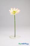 Artificial Oversized Pink & White Lotus Flower on Bendable Stem 32" Tall by 10" Wide | ShopWildThings.com Artificial Oversized Pink & White Lotus Flower on Bendable Stem 32" Tall by 10" Wide | ShopWildThings.com