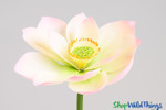 Artificial Oversized Pink & White Magnolia Flower on Bendable Stem 33" Tall by 10" Wide | ShopWildThings.com Artificial Oversized Pink & White Magnolia Flower on Bendable Stem 33" Tall by 10" Wide | ShopWildThings.com