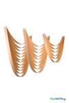 Cloud 9 Ceiling and Wall Swags, Set of 3 in Champagne Fabric | ShopWildThings.com