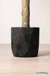 Faux 6.25' tall Olive Tree in Black Pot - ShopWildThings.com Faux 6.25' tall Olive Tree in Black Pot - ShopWildThings.com