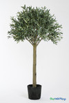 Faux 6.25' tall Olive Tree in Black Pot - ShopWildThings.com Faux 6.25' tall Olive Tree in Black Pot - ShopWildThings.com
