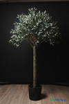 Faux 6.25' tall Olive Tree in Black Pot - ShopWildThings.com Faux 6.25' tall Olive Tree in Black Pot - ShopWildThings.com