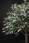 Faux 6.25' tall Olive Tree in Black Pot - ShopWildThings.com Faux 6.25' tall Olive Tree in Black Pot - ShopWildThings.com