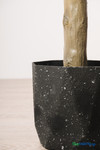 Faux 6.25' tall Olive Tree in Black Pot - ShopWildThings.com Faux 6.25' tall Olive Tree in Black Pot - ShopWildThings.com