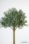 Faux 6.25' tall Olive Tree in Black Pot - ShopWildThings.com Faux 6.25' tall Olive Tree in Black Pot - ShopWildThings.com