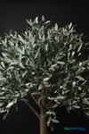 Faux 6.25' tall Olive Tree in Black Pot - ShopWildThings.com Faux 6.25' tall Olive Tree in Black Pot - ShopWildThings.com