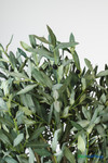 Faux 6.25' tall Olive Tree in Black Pot - ShopWildThings.com Faux 6.25' tall Olive Tree in Black Pot - ShopWildThings.com