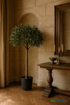 Faux 6.25' tall Olive Tree in Black Pot - ShopWildThings.com Faux 6.25' tall Olive Tree in Black Pot - ShopWildThings.com