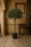 Faux 6.25' tall Olive Tree in Black Pot - ShopWildThings.com Faux 6.25' tall Olive Tree in Black Pot - ShopWildThings.com