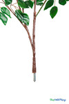 14FT Tall Artificial Dark Green Ficus Tree ShopWildThings Event Wedding Trees 14FT Tall Artificial Dark Green Ficus Tree ShopWildThings Event Wedding Trees