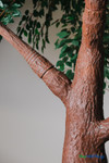 14FT Tall Artificial Dark Green Ficus Tree ShopWildThings Event Wedding Trees 14FT Tall Artificial Dark Green Ficus Tree ShopWildThings Event Wedding Trees