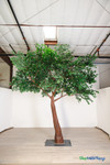 14FT Tall Artificial Dark Green Ficus Tree ShopWildThings Event Wedding Trees 14FT Tall Artificial Dark Green Ficus Tree ShopWildThings Event Wedding Trees
