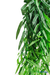 14 FT Tall Artificial Green Weeping Willow Tree ShopWildThings Event Wedding Trees 14 FT Tall Artificial Green Weeping Willow Tree ShopWildThings Event Wedding Trees