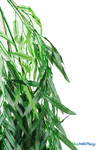 14 FT Tall Artificial Green Weeping Willow Tree ShopWildThings Event Wedding Trees 14 FT Tall Artificial Green Weeping Willow Tree ShopWildThings Event Wedding Trees