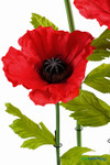 Detailed view of ShopWildThings.com Oversized Large Silk Poppy Bloom with textured red petals, black flower center, and bright green leaves for lifelike effect.