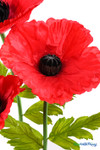 Detailed view of ShopWildThings.com Oversized Large Silk Poppy Bloom with textured red petals, black flower center, and bright green leaves for lifelike effect.