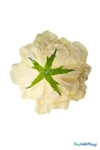 Back view of Yellow Silk XXXL Rose Head – flat base with green calyx and washer for easy mounting on walls, tables, or ceilings – giant faux flower head for weddings and parties – ShopWildThings.com