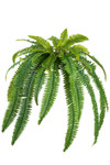 Artificial Silk Boston Fern Plant with 40 fronds, 40-inch diameter realistic faux greenery for home, office, or event décor – ShopWildThings.com