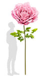 80" tall giant pink rose next to person for scale – large statement flower prop for weddings and spring events – ShopWildThings