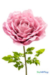 80 inch giant pink rose prop with green leaves and long stem – oversized spring event flower decor – ShopWildThings