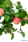 Artificial apple interchangeable branch foliage detail with realistic apples and green leaves for event decor trees – ShopWildThings