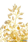 Detailed view of shimmering gold ficus foliage on interchangeable decorative tree branch – ShopWildThings