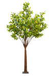 Full view of 7.5 ft artificial lemon tree with bright yellow citrus fruit and realistic leaves, decorative faux fruit tree for events and displays – ShopWildThings