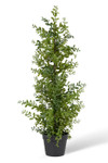 Full view of 36 inch artificial boxwood tree in black pot realistic indoor outdoor faux plant ShopWildThings.com