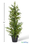 Artificial boxwood tree 36 inch tall faux greenery plant in black plastic pot realistic decor ShopWildThings.com