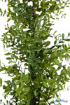 Close up of artificial boxwood tree leaves showing realistic texture and color variation 36 inch faux plant ShopWildThings.com